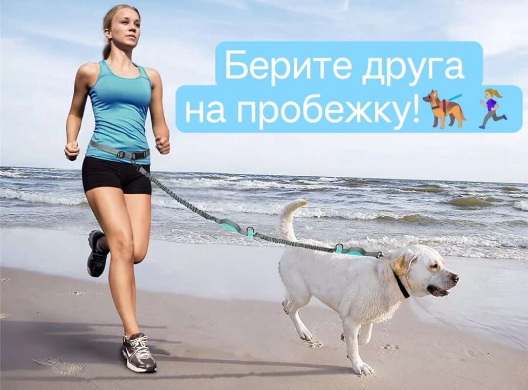 Поводок для бега с собакой Свободные руки, ярко салатовый - фотография № 8