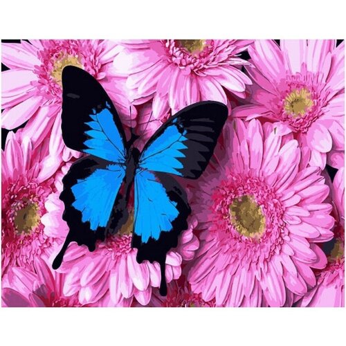 Картина по номерам Бабочка на цветах 40х50 см Hobby Home