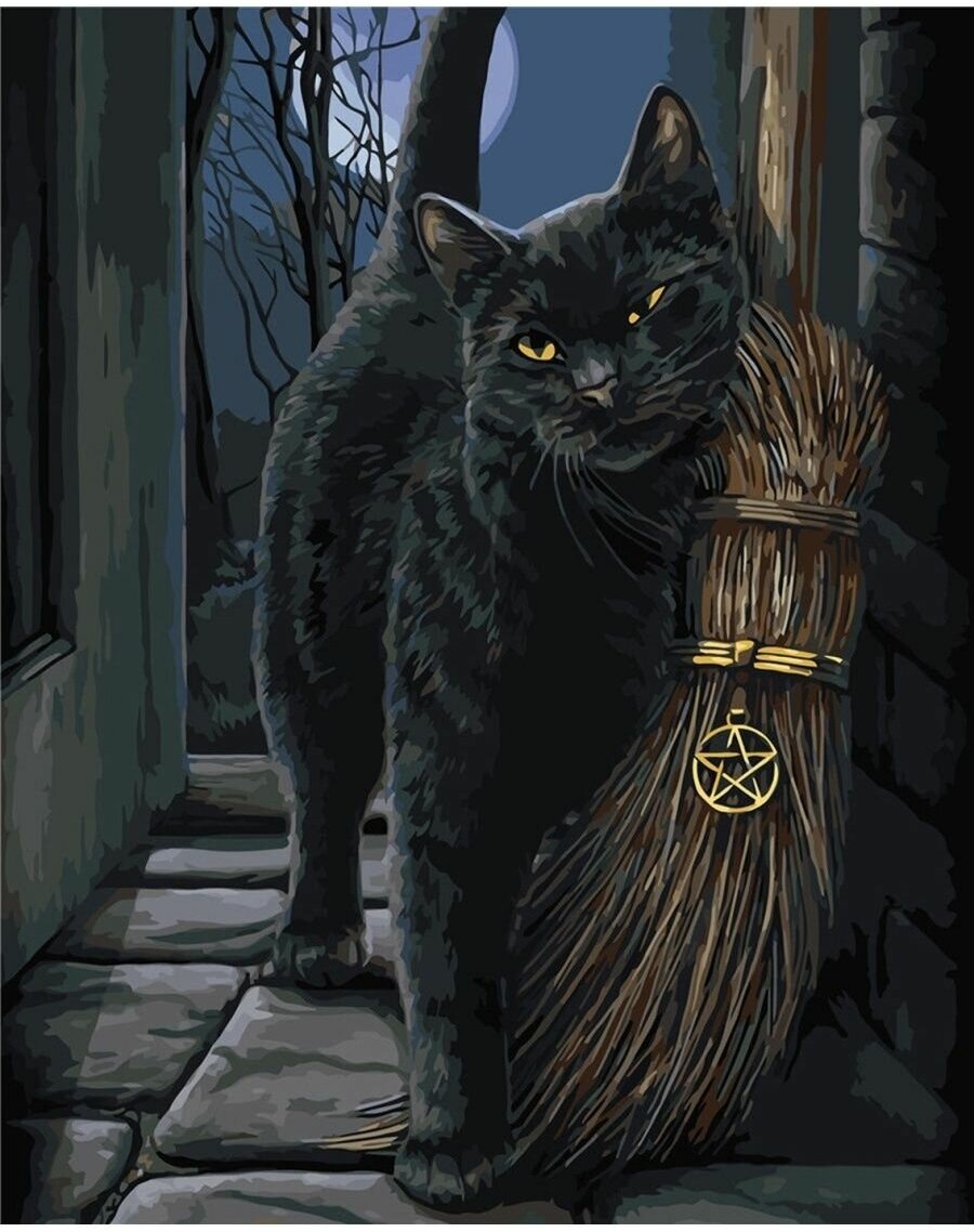 Картина по номерам Черный кот 40х50 см