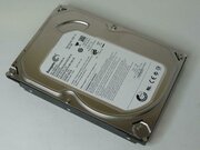 Жесткий диск Seagate ST3160316AS 160Gb 7200 SATAIII 3.5" HDD