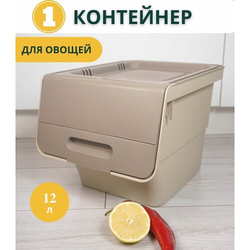 Контейнер для хранения продуктов 12л 1 шт Elly Home/ ящик для хранения овощей фруктов пластиковый на кухне на балконе, с крышкой