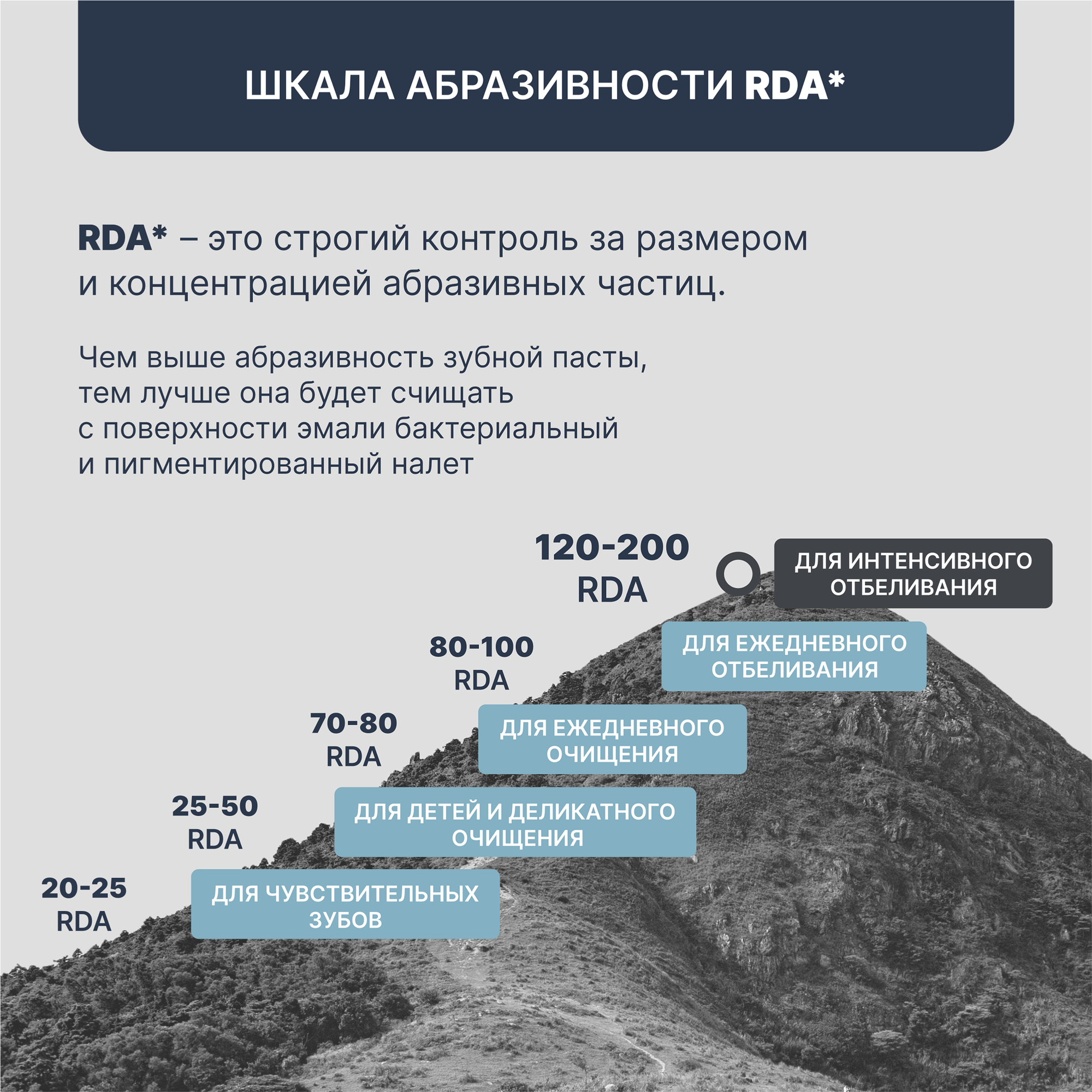 Зубная паста President Smokers 75мл ЗЕЛЕНАЯ ДУБРАВА - фото №6