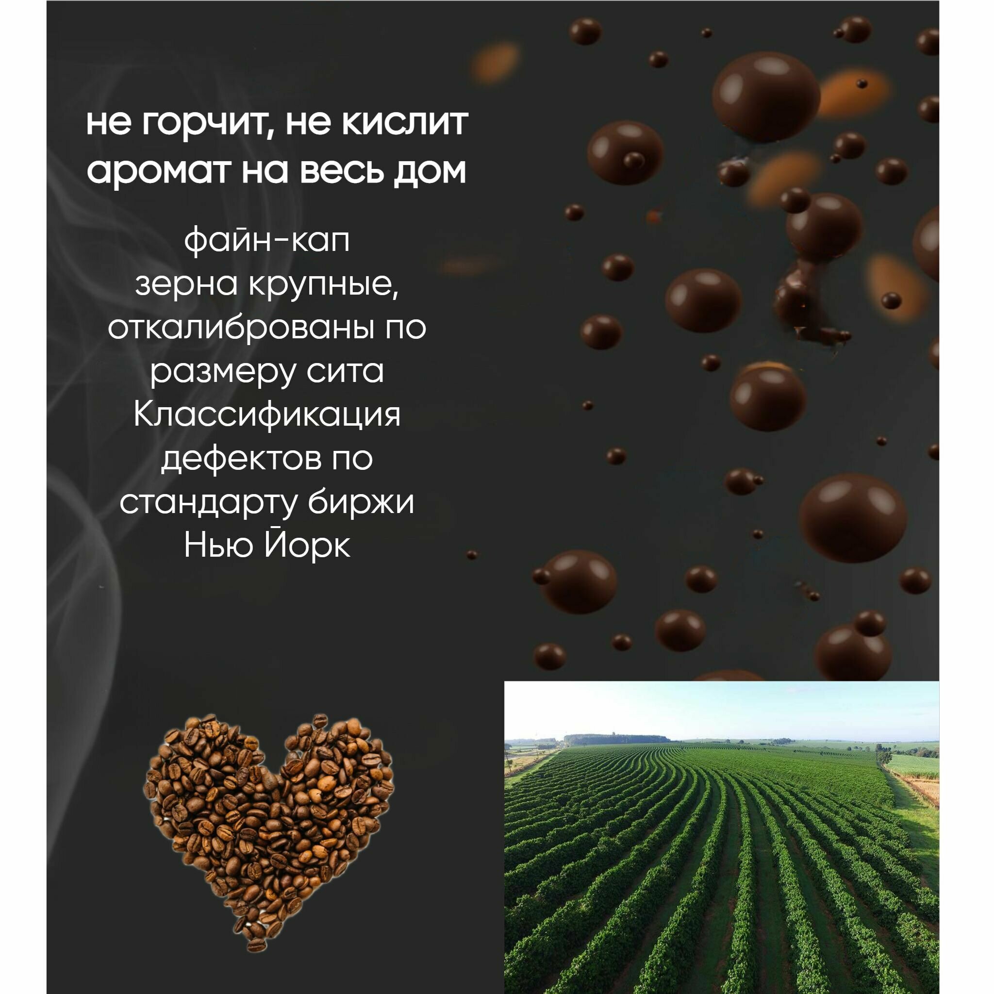 Кофе в зернах натуральный обжаренный 500 гр 100% ARABICA Sul De Minas - фотография № 2