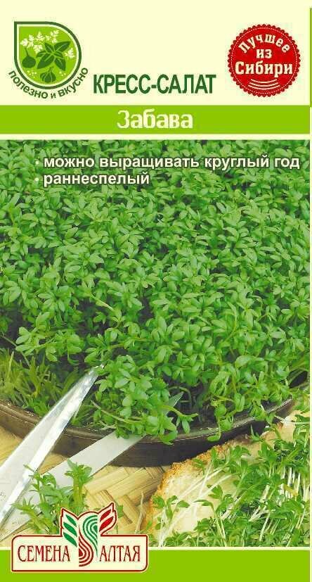 Семена Кресс-салат Забава 1 г (Семена Алтая)  3 пакетика * 1 г