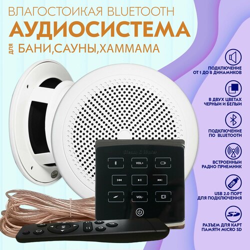 Влагостойкая акустическая система для дома, бани, сауны и хамама SW 2 Black ECO(черный)