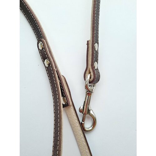 Поводок однослойный с перехватом кожаный для собак / ширина 12 мм, длина 170 см.