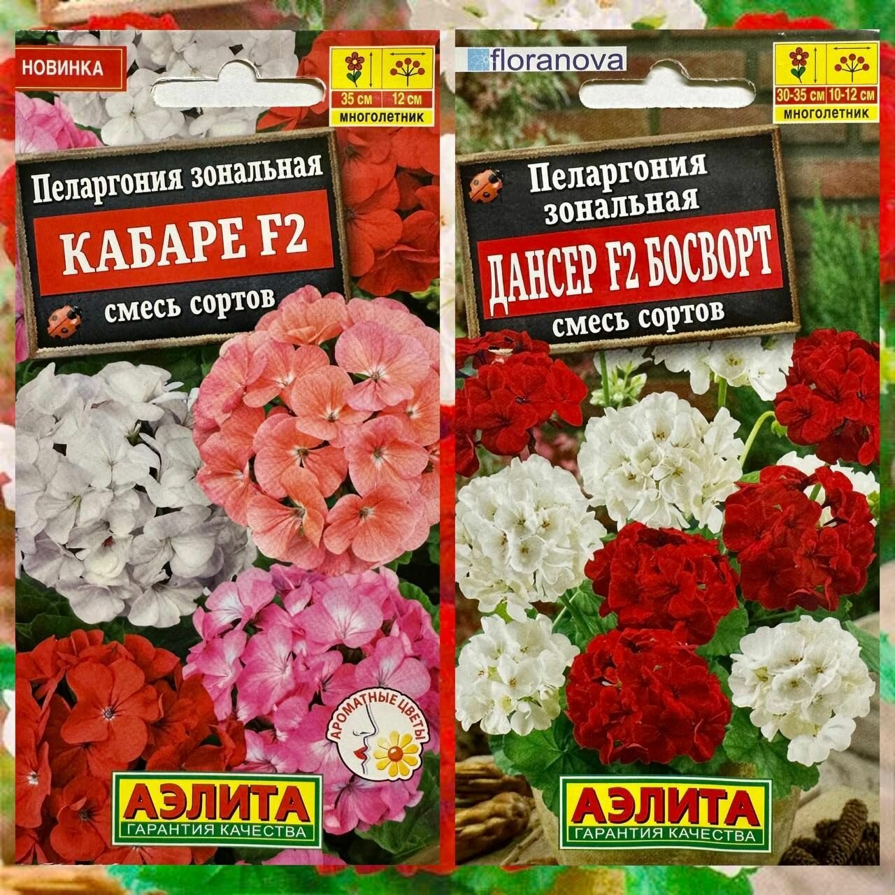 Семена многолетних цветов для дома и сада Пеларгония герань Дансер Босворт и Кабаре