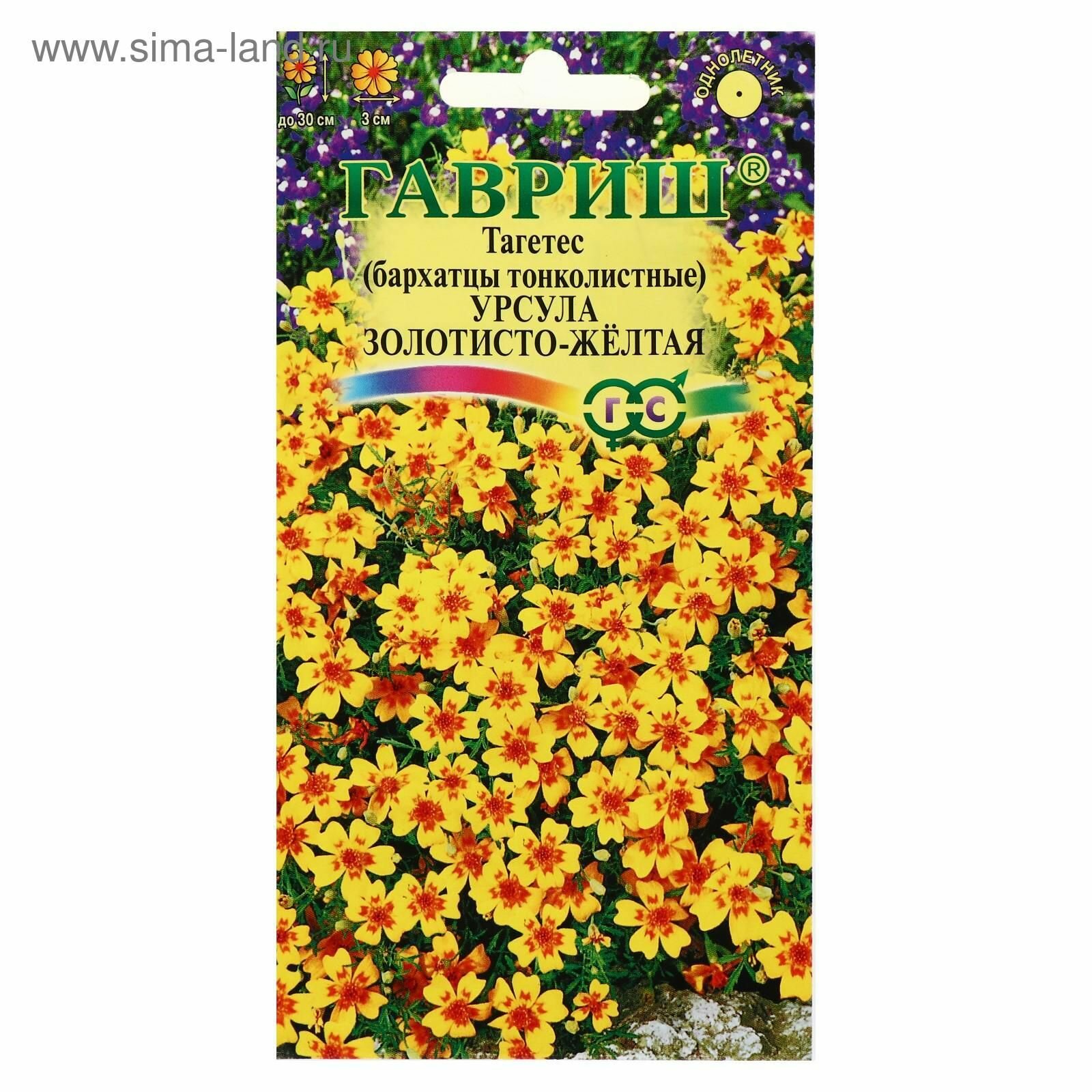 Семена цветов Бархатцы 