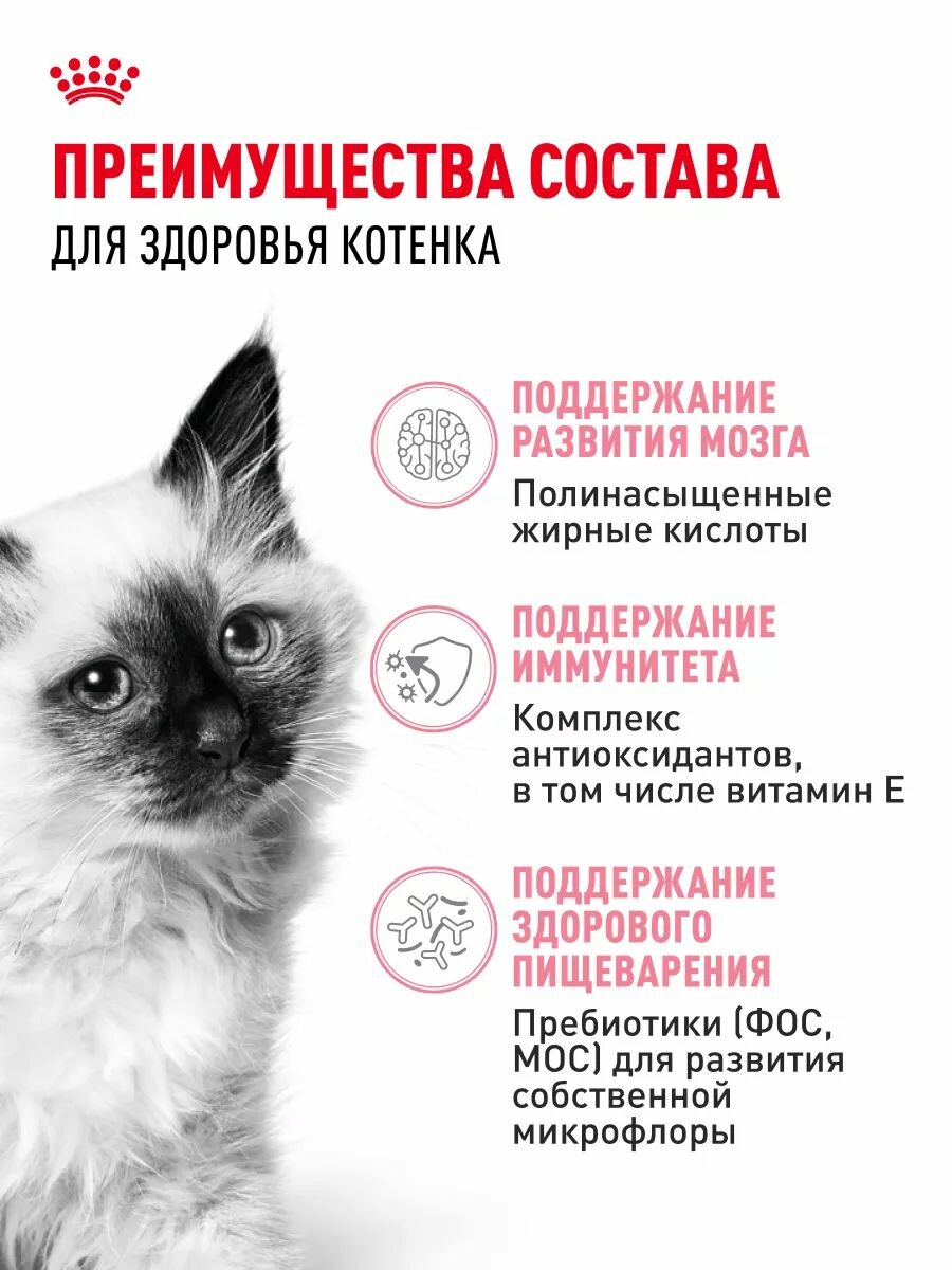 Корм для котят Royal Canin Kitten Корм сухой сбалансированный, 2 кг — фото 1