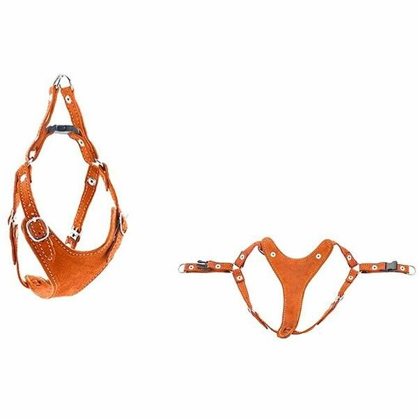Шлейка для собак Дарэлл "Ева", замша, быстросъемная, размер M, обхват шеи 24-32 см, груди 34-44 см, оранжевая