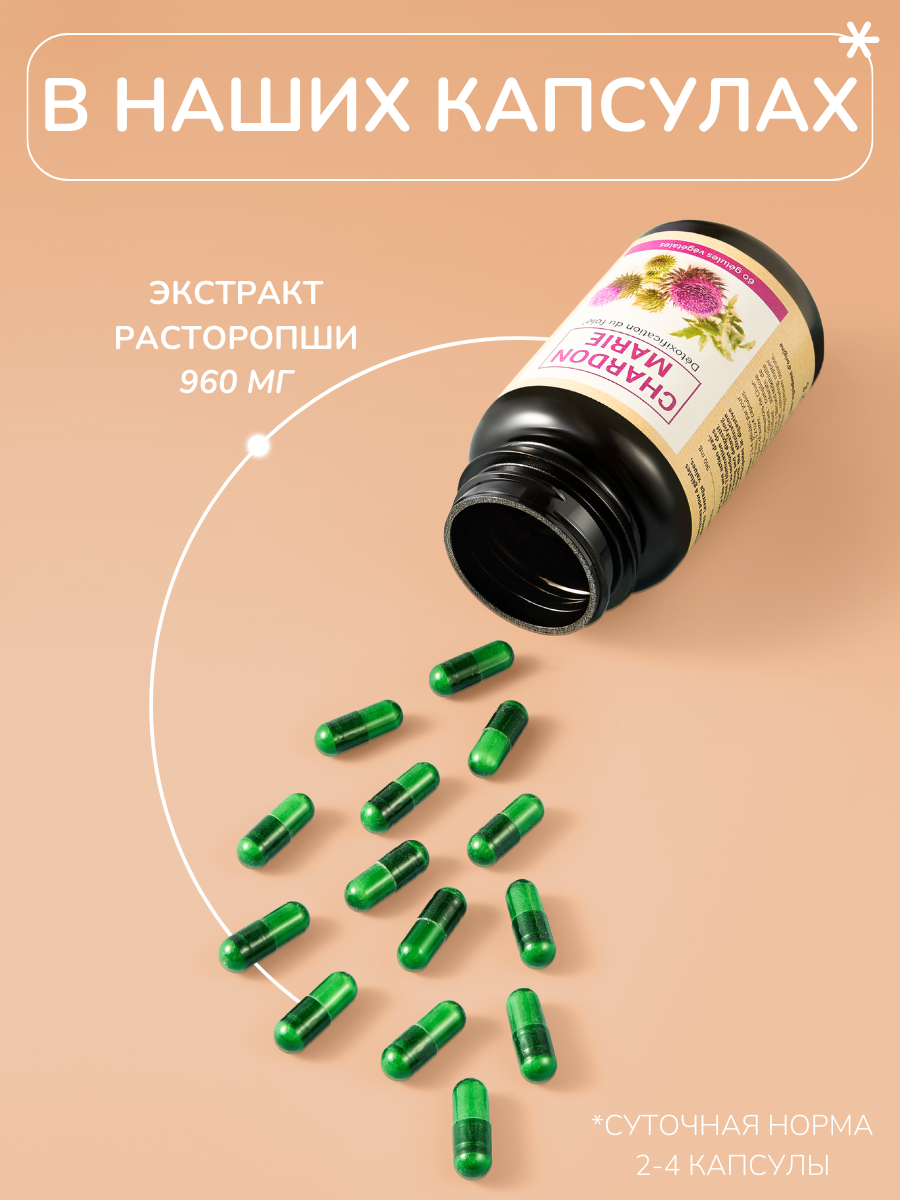 Расторопша капсулы для печени NUTRIEXPERT CHARDON MARIE 60 капсул — фото 1