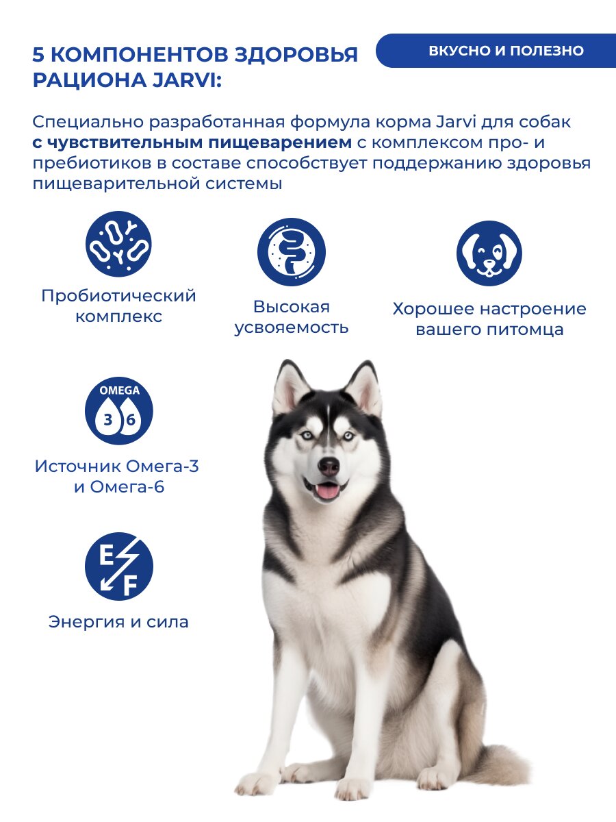 Сухой корм Jarvi полнорационный для взрослых собак средних и крупных пород с чувствительным пищеварением, Ягненок 6 кг — фото 1