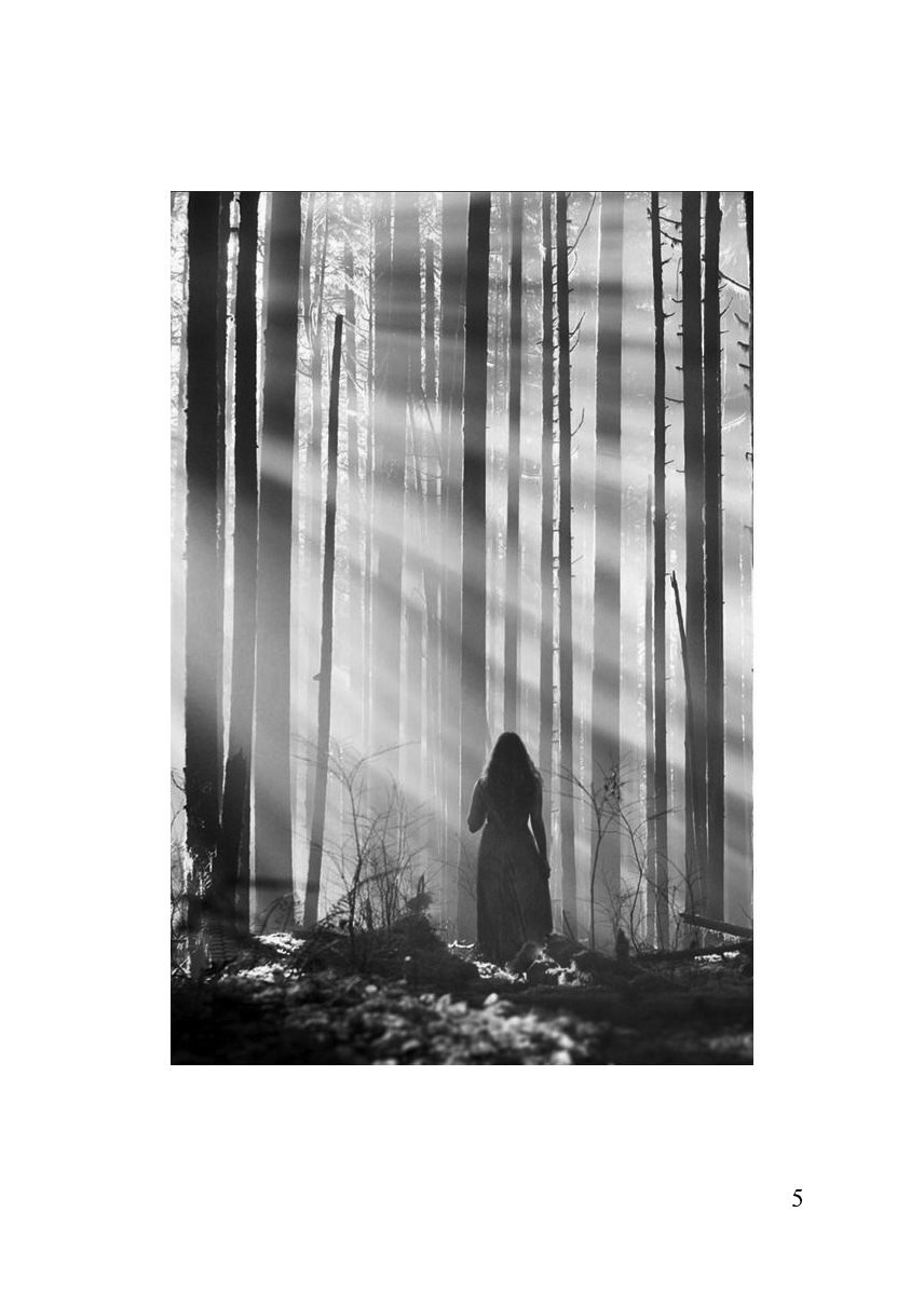 Тайны леса — фото 1