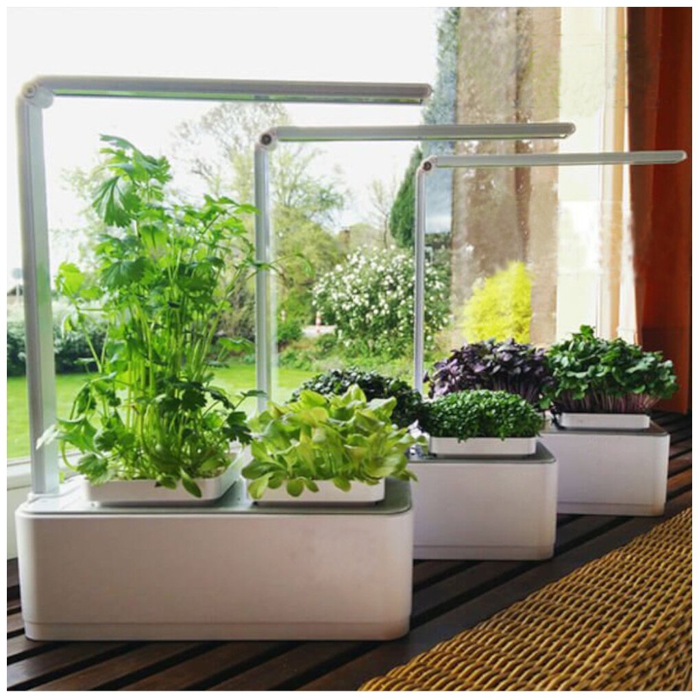 Гидропонная установка HobbyFarm Mini, домашний умный смарт сад, с фитолампой - фотография № 7