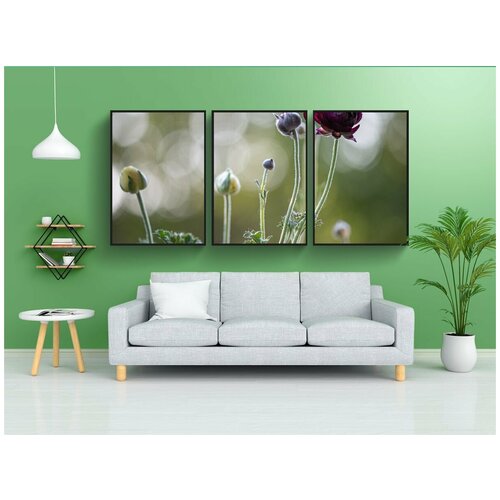 фото Набор модулных постеров для интерьера "ranunkeln, расцветает, весенние цветы" 60x90 см. в тубусе, без рамки lotsprints