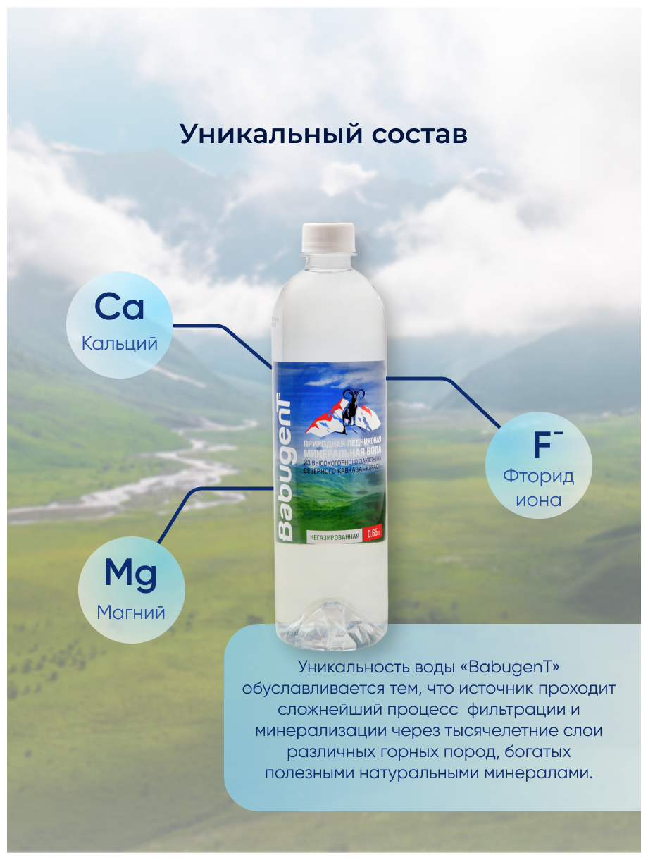 Вода питьевая негазированная 0,37 л по 12 шт в упак / родниковая / детская / живая - фотография № 3