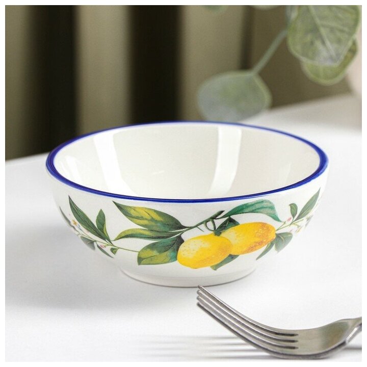 фото Миска Доляна «Лимон», 220 мл