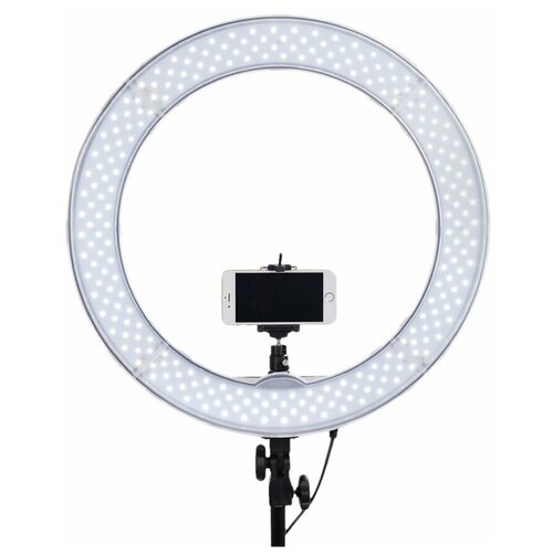 Кольцевая лампа LED 26 см с пластиковым штативом и держателем для телефона 99500₽