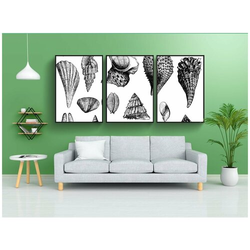 фото Набор модулных постеров для интерьера "морские раковины, снаряды, винтаж" 60x90 см. в тубусе, без рамки lotsprints