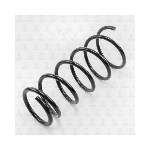 фото Torr df0134 пружина подвески