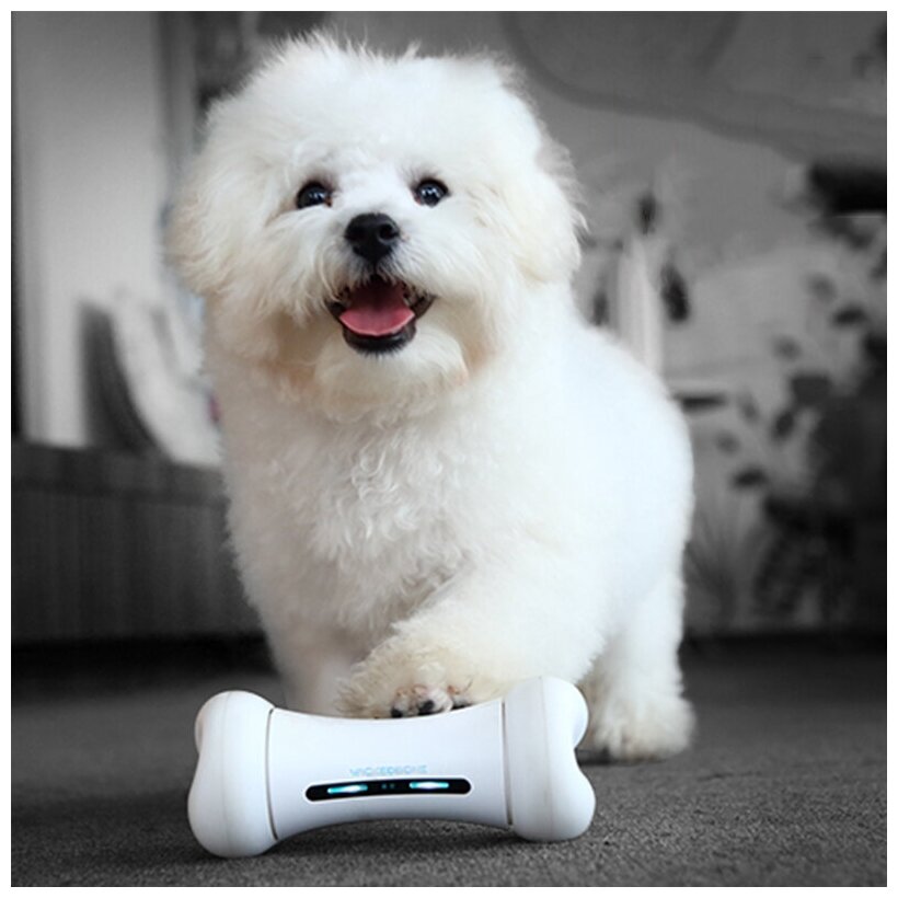 Интерактивная умная игрушка для собак, дразнилка кость Cheerble Wickedbone для мелких, средних, крупных пород, USB зарядка - фотография № 15