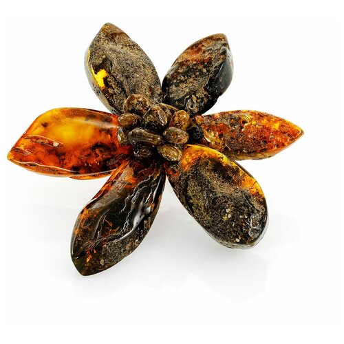 Amberholl Крупная объёмная брошь «Помпеи» из цельного янтаря