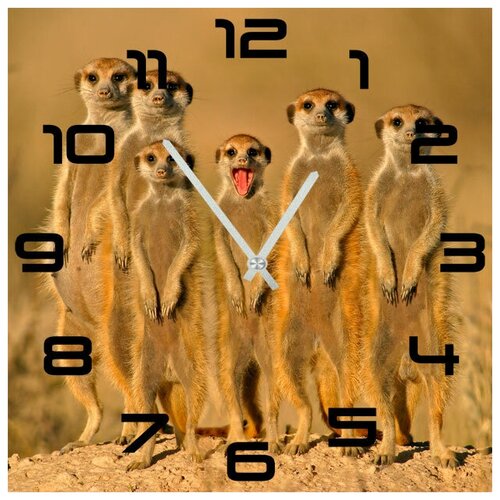 фото Svs настенные часы svs 4002500 суслики