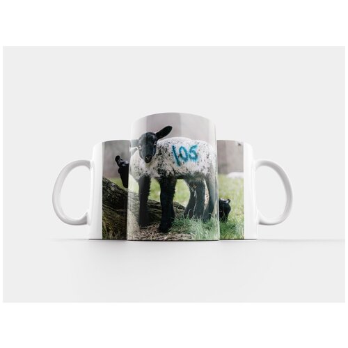 фото Кружка "овец, ягненок, животное" 320 мл lotsprints