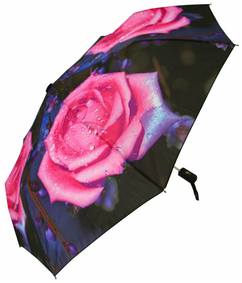    RAINBRELLA  2042/,