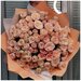 25 кустовых пионовидных роз трендсеттер. Букет 187 Kimbirly Flowers
