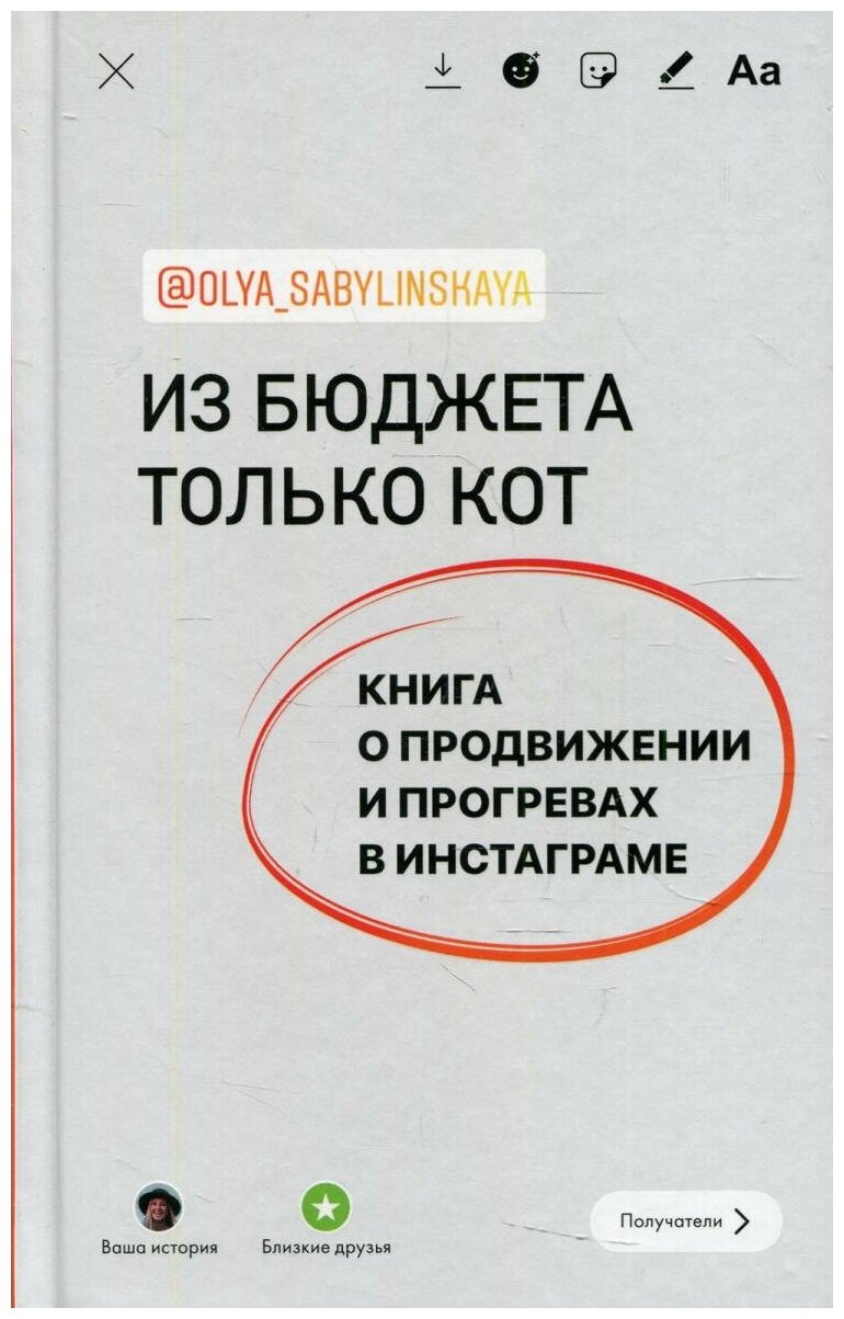 Из бюджета только кот. Книга о продвижении и прогревах в инстаграме - фото №2