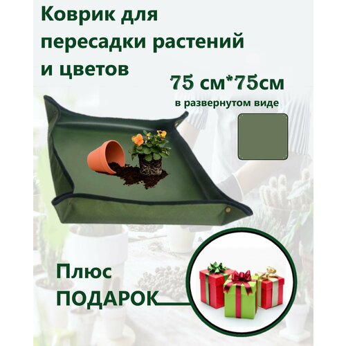 хаки
