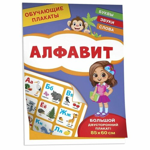 Обучающие плакаты Алфавит 4 штуки 412₽