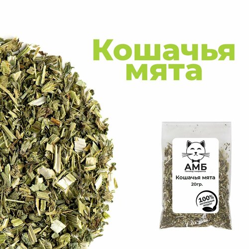 Кошачья мята 20 гр. для кошек. Котовник сушенная трава. Лакомство для ...