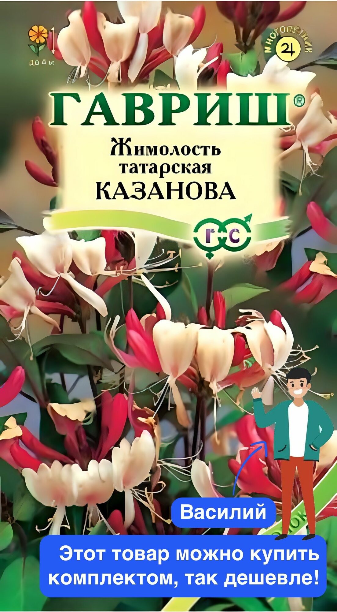 Жимолость татарская Казанова