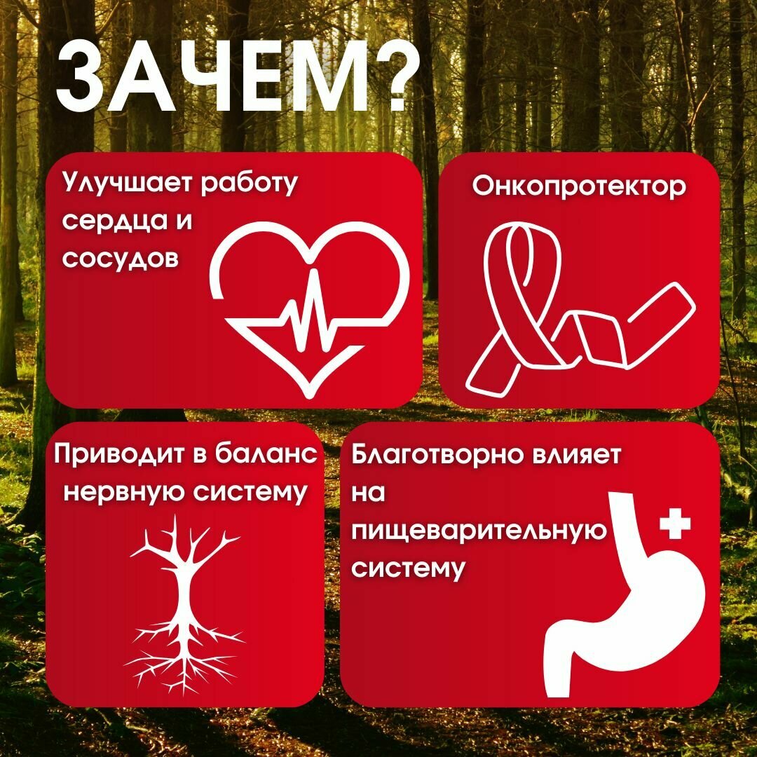 Изображение Шиитаке дробный экстракт 10:1, 60 капсул, натуральный иммуномодулятор, Mushroom Warrior, комплексная пищевая добавка