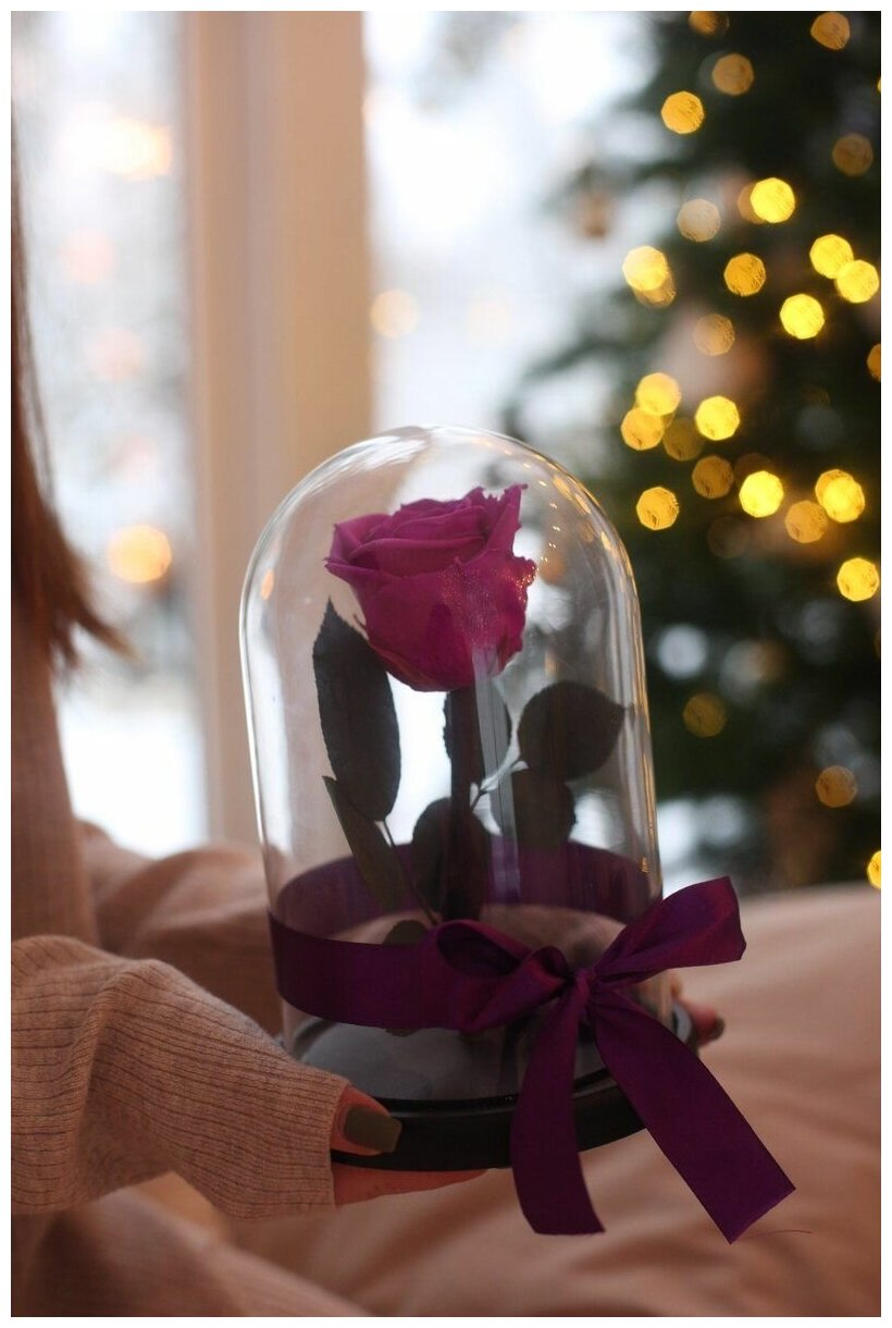 Роза в колбе живая Glamur подарочный набор для женщины подарок маме для девочки долговечный букет - GIFT4YOU