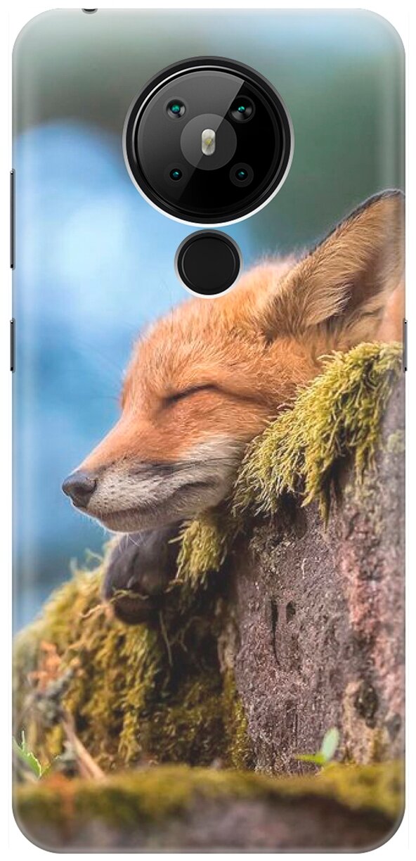 RE: PA Накладка Transparent для Nokia 5.3 с принтом "Умиротворенная лиса"