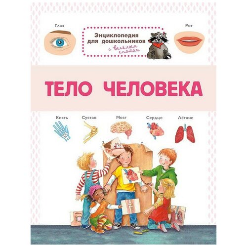 фото Книга омега энциклопедия для дошкольников. тело человека