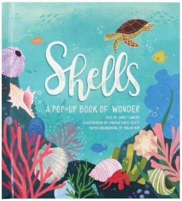 Shells. A Pop-Up Book of Wonder - фото №1