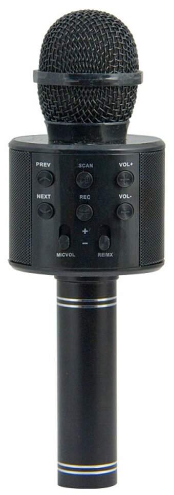 Микрофон для караоке Belsis MA3001BE, Bluetooth, FM, microSD, чёрный