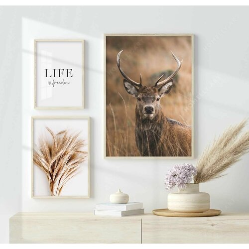 Жизнь это свобода / Природа / Набор интерьерных постеров / Cкандинавские постеры / Cкандинавский дизайн / 1шт 50x70, 1шт 30x40, 1шт 21x30 / Без рамы