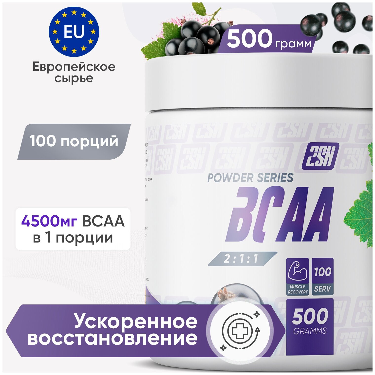 2SN BCAA powder 500g (черная смородина)