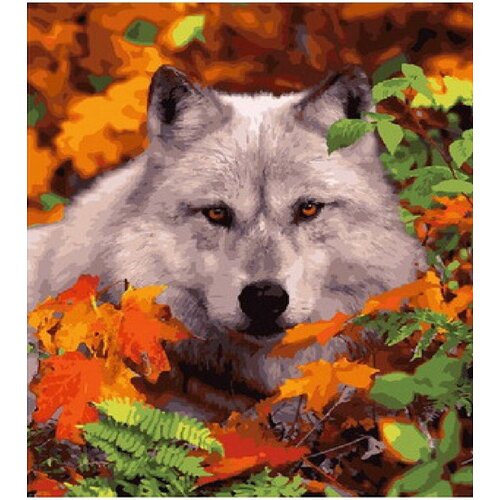 Картина по номерам Волк в осеннем лесу 40х50 см