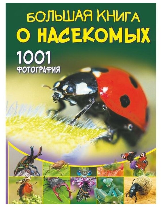 Большая книга о насекомых 1001 фотография Энциклопедия Спектор АА 12+