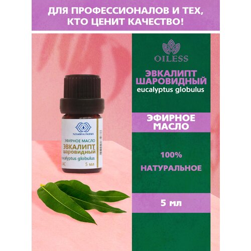 Эфирное масло Эвкалипта шаровидного (Eucalyptus globulus) 5 мл