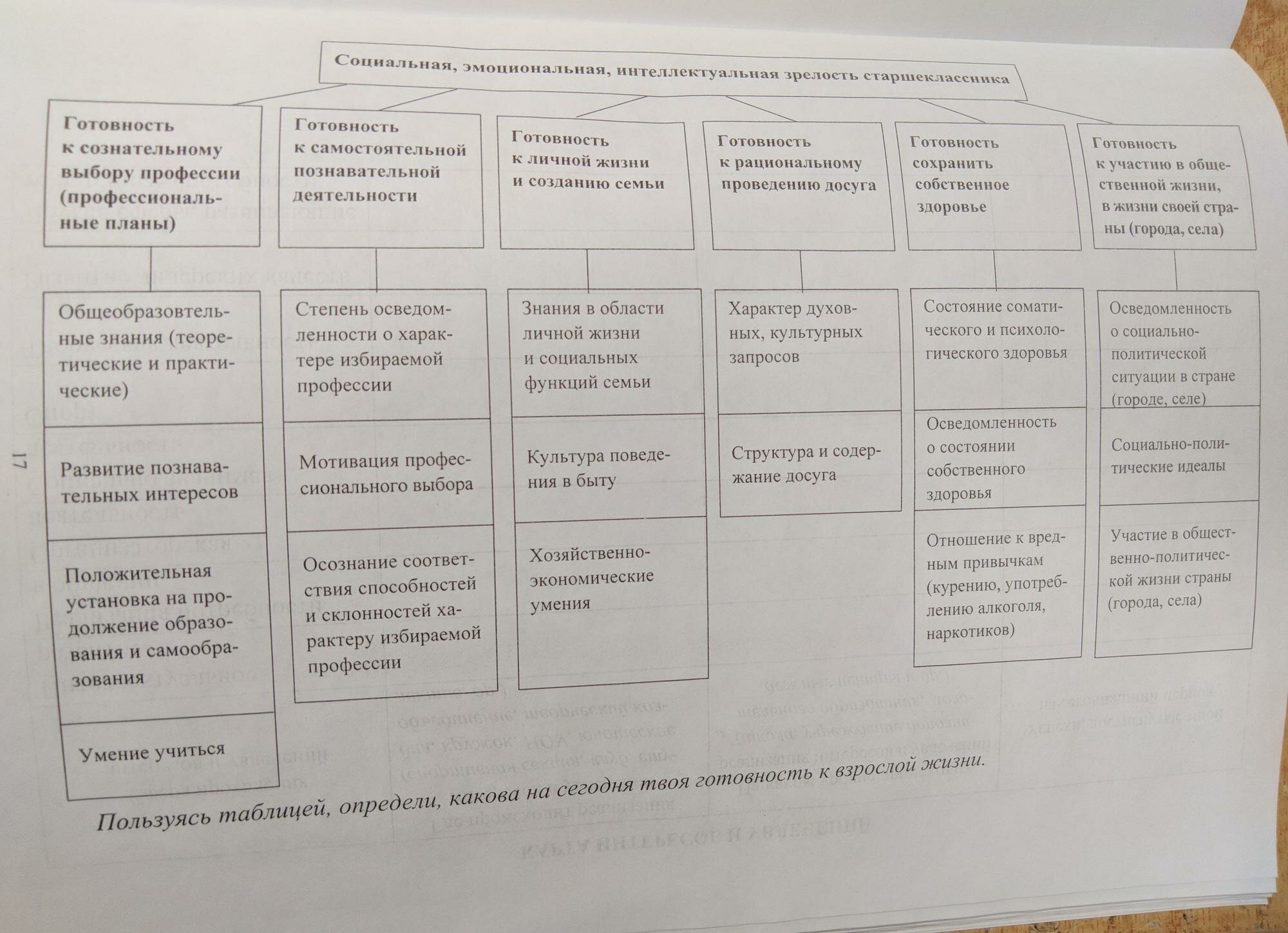 Портфолио старшеклассника. Дневник достижений - фото №6