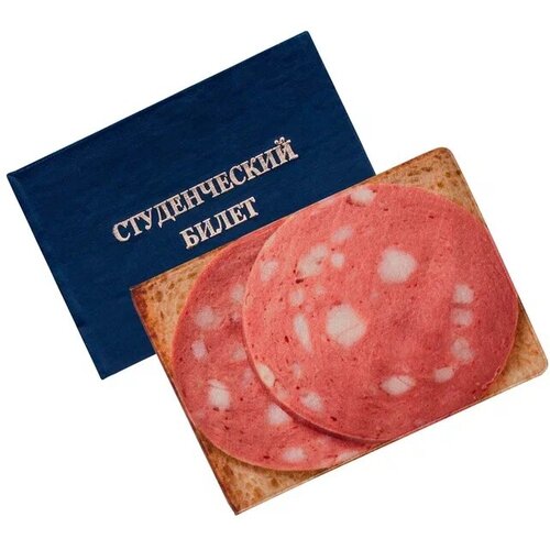 Обложка для студенческого билета ZEKEKS, розовая