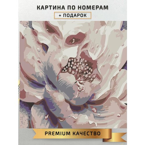 Картина по номерам Нежные розовые пионы / delicate pink peonies холст на подрамнике 40*40 картина по номерам нежные розовые пионы холст на подрамнике 40 х 40 см