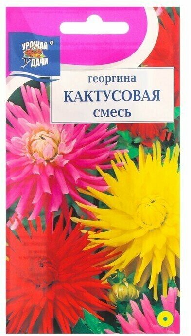 Семена цветов Георгина Смесь Кактусовая 02 г 5 упаковок